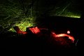 Neujahrsleuchten   065